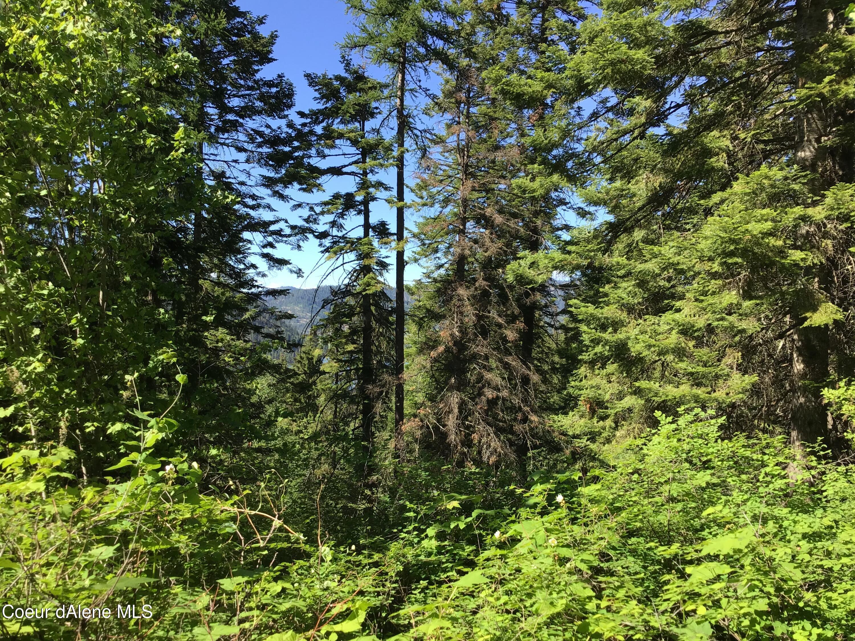 Image 1: Property views