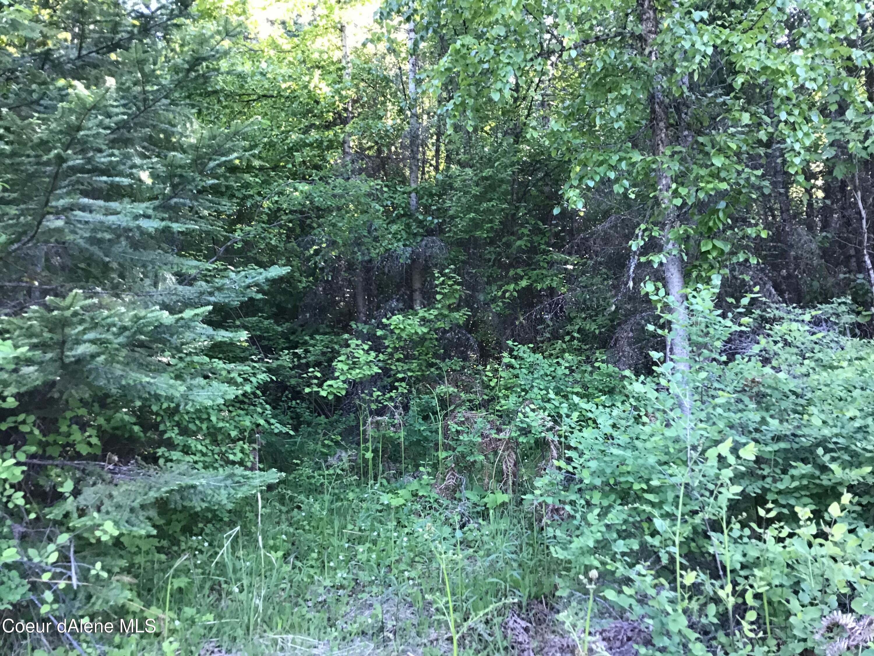 Image 2: Property views