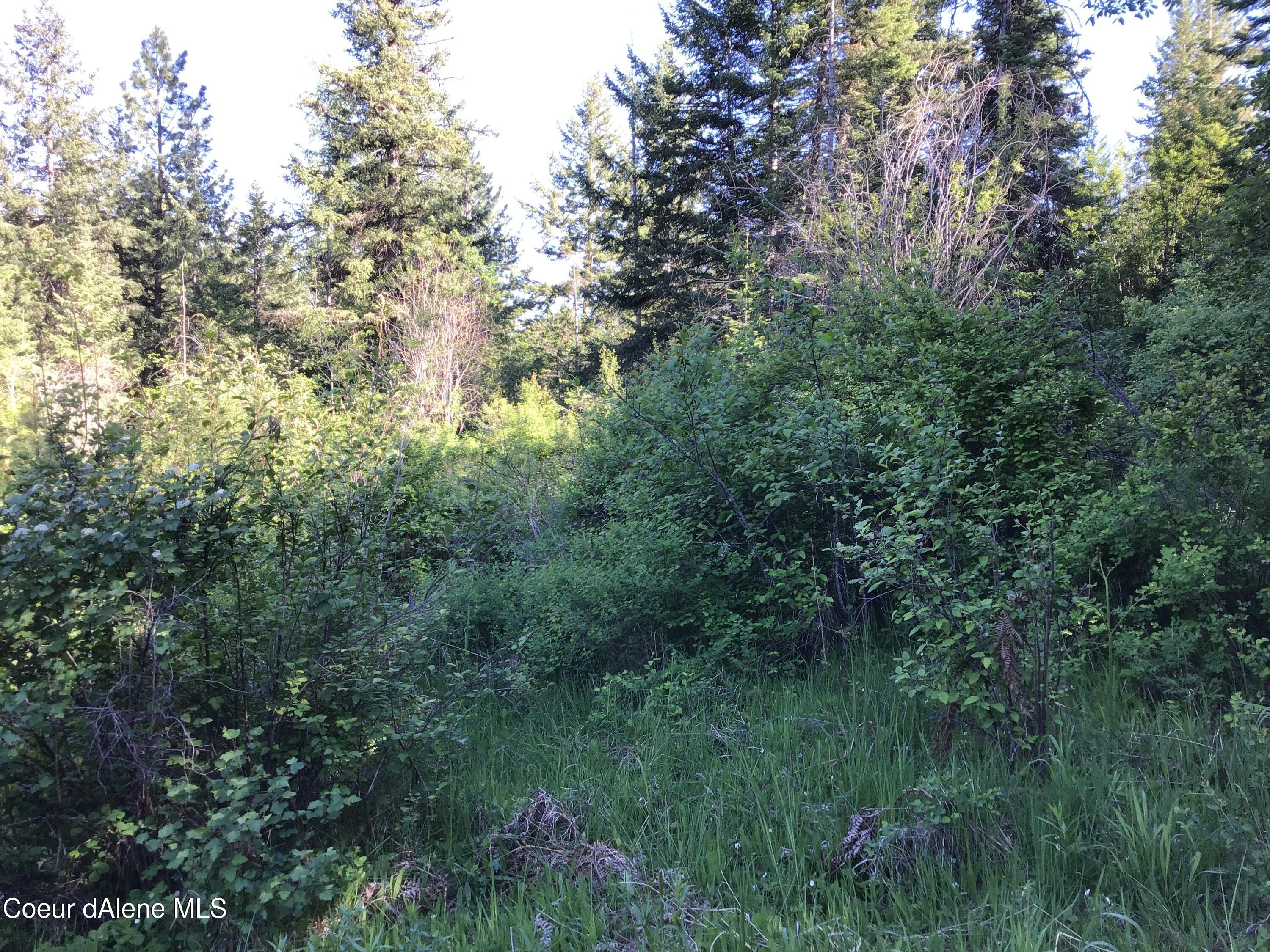 Image 3: Property views