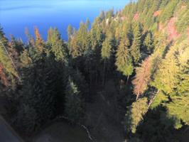 4511 E Upper Hayden Lake Rd