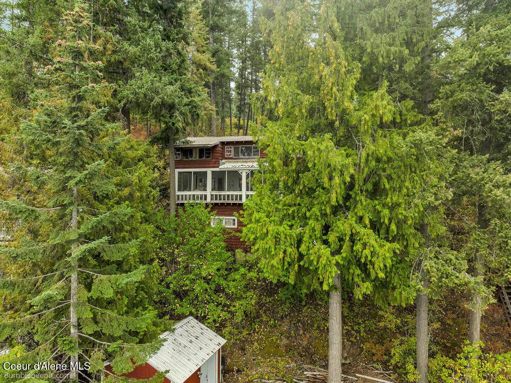Image 1: Nestled in Nature