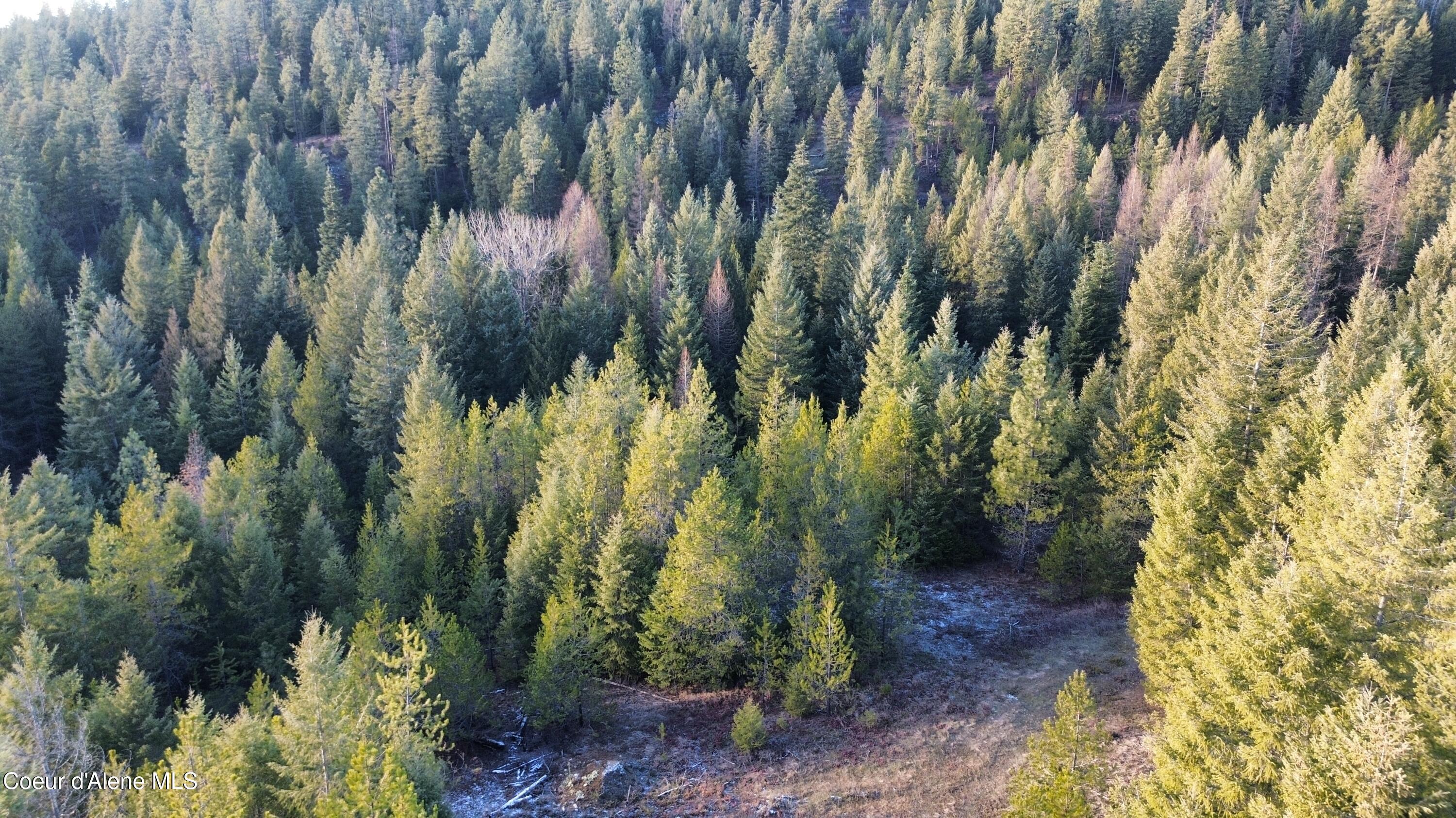 Image 3: dji_fly_20251231_143208_40_1767220414106