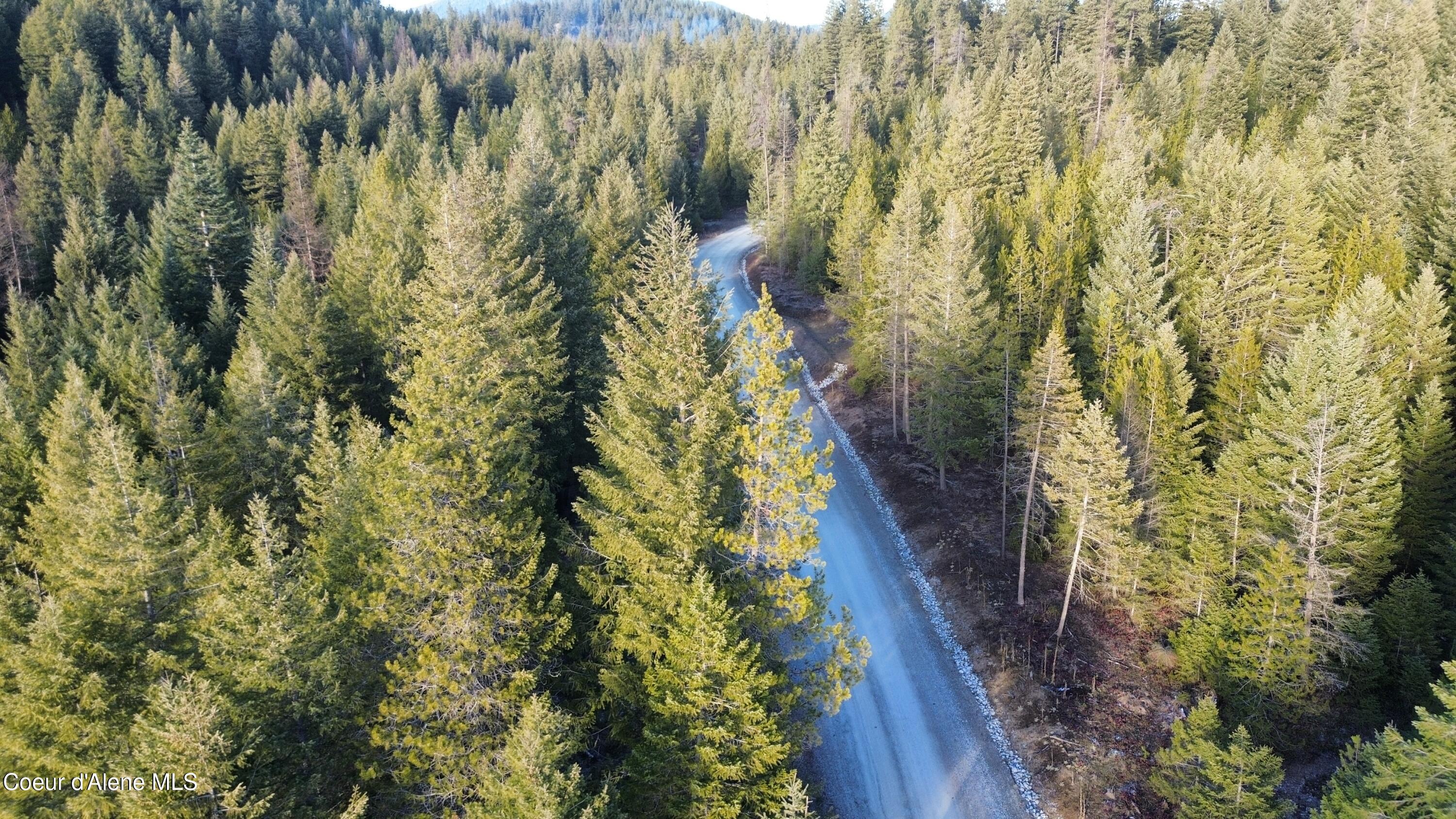 Image 4: dji_fly_20251231_143212_41_1767220451976