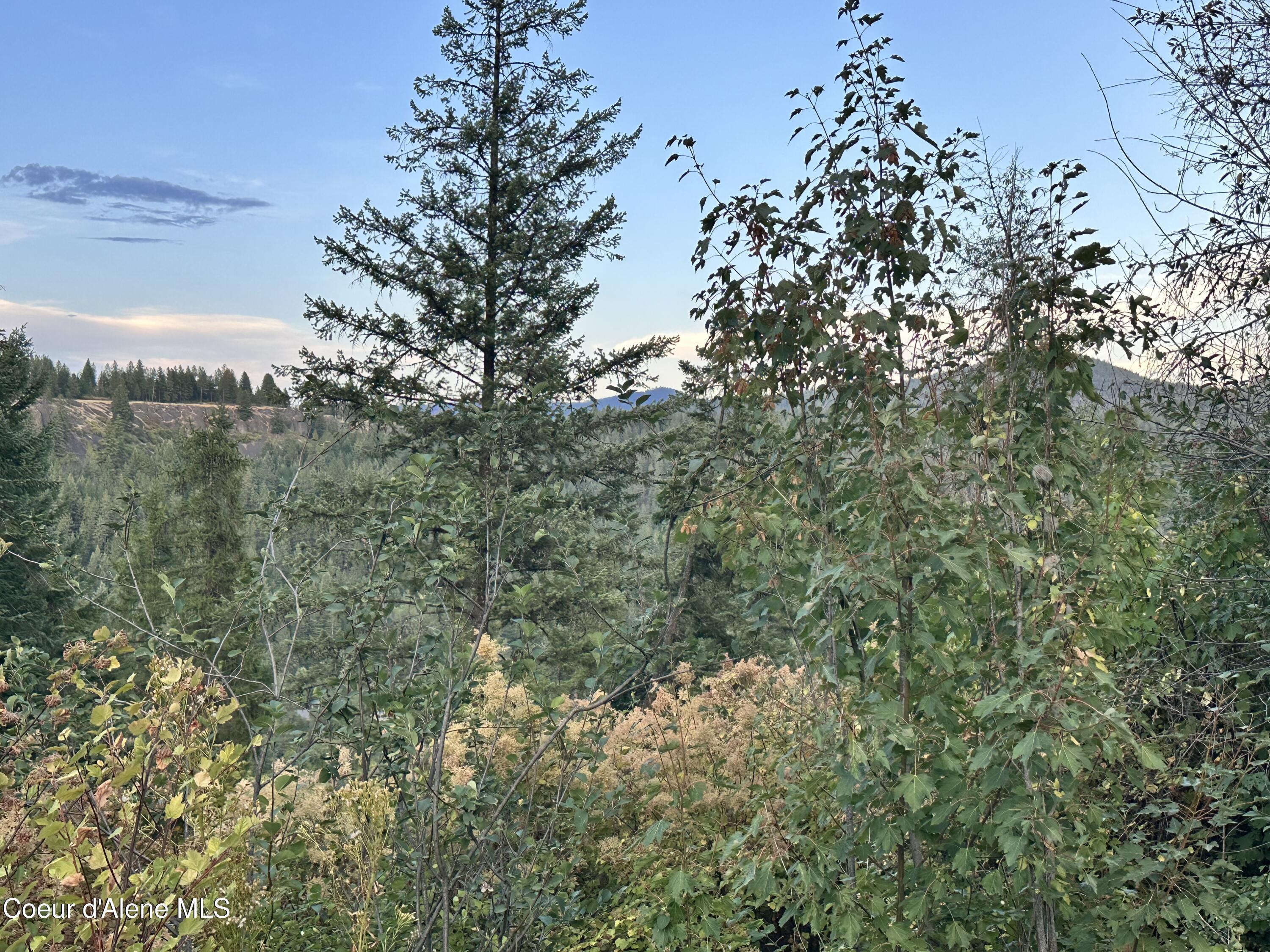 Image 3: IMG_2810