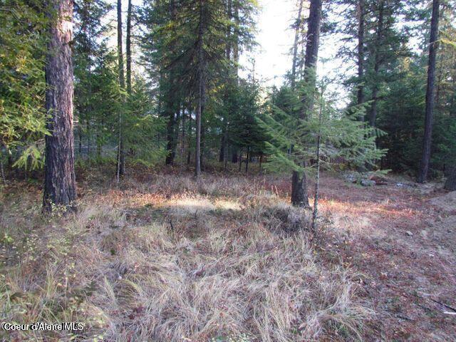 Image 2: Forest Ridge Rd 3