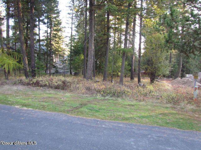 Image 3: Forest Ridge Rd 2
