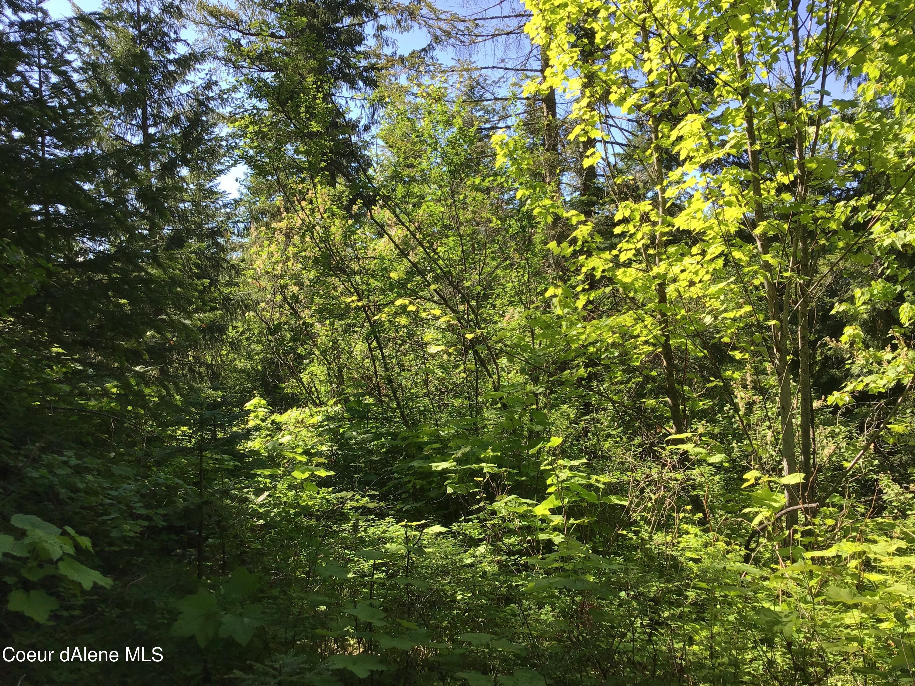 Image 4: Property views