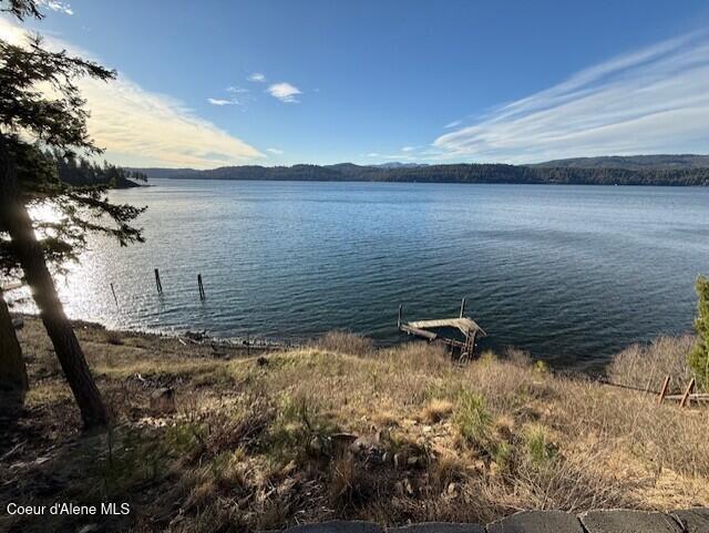 Image 2: Dubois Waterfront Dock