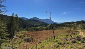 NNA Queens Drive Lot 3 Galts Gulch