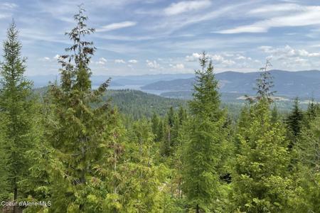 1728 Rugged Trail