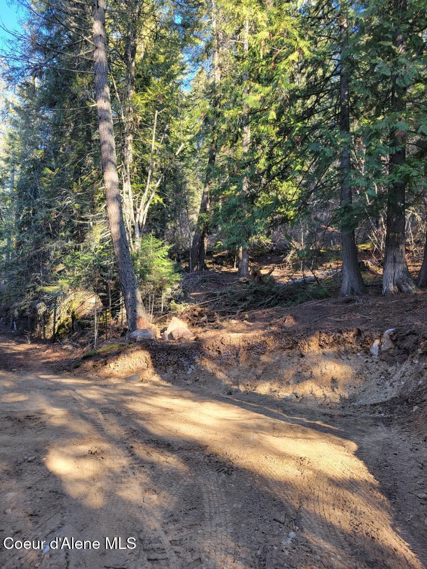 Image 1: 5 Timbered Acres