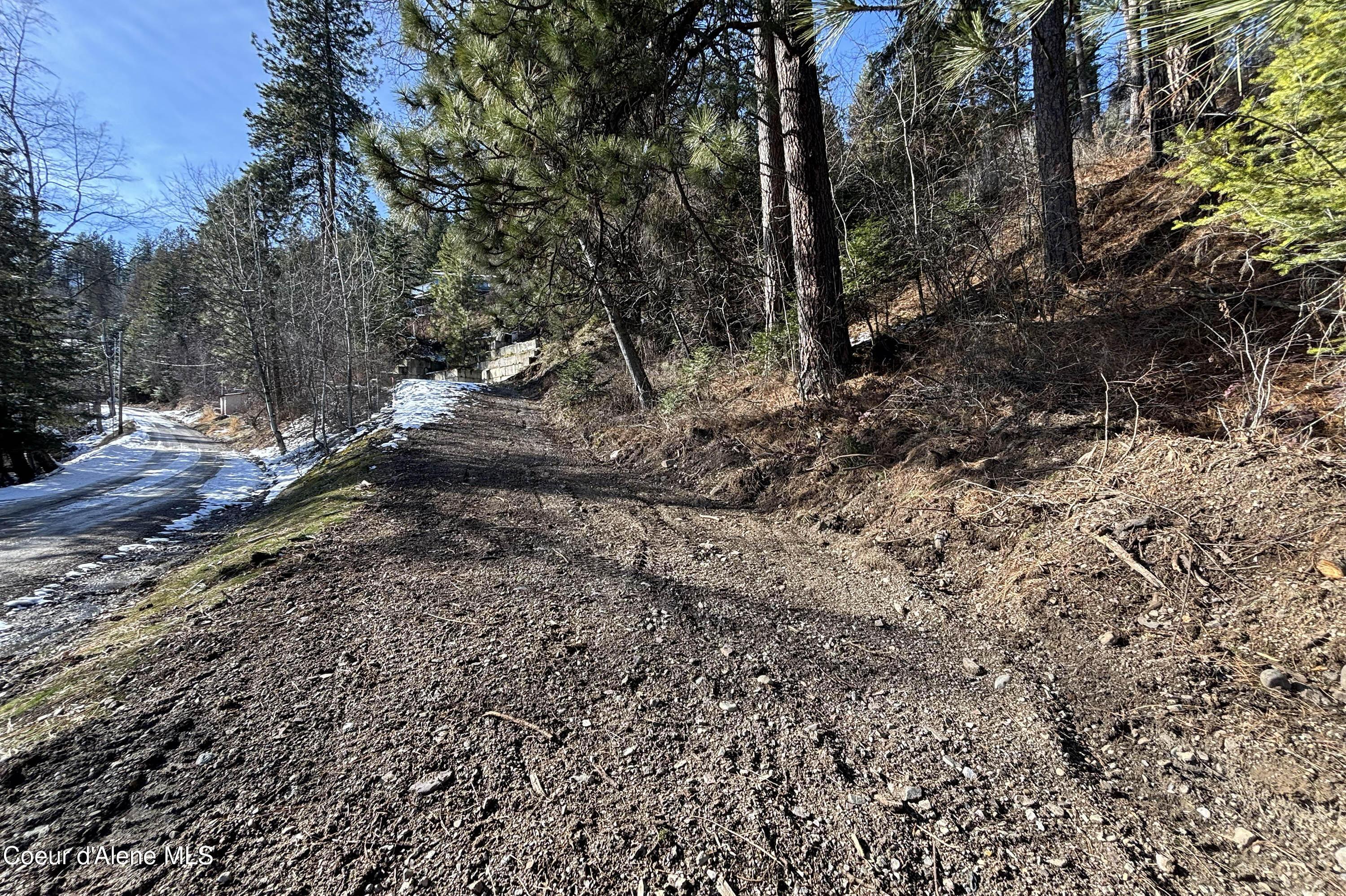 Image 4: Driveway Closeup