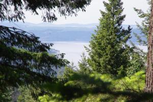 Lot 19 Parker Ave