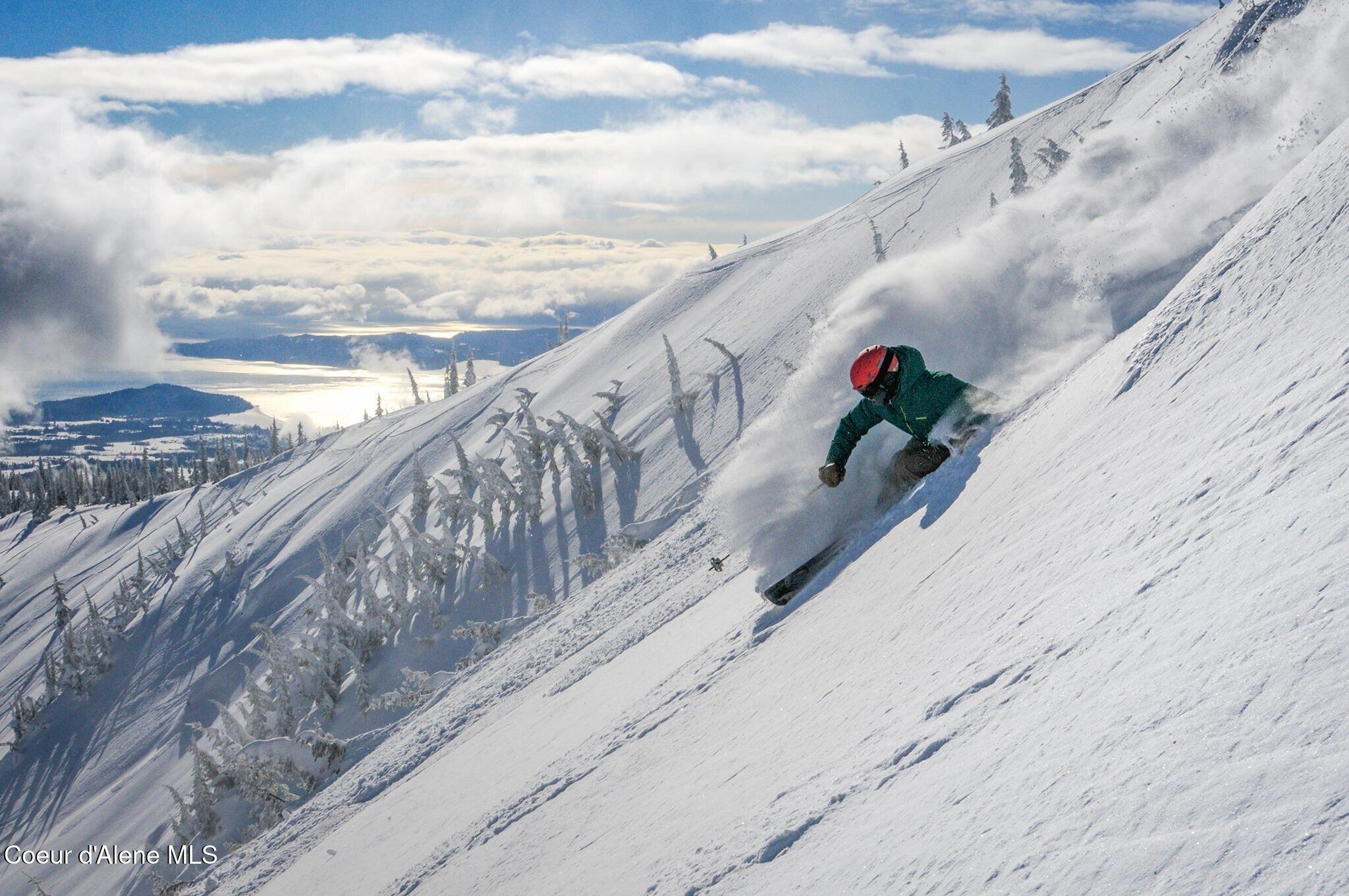 Image 3: Schweitzer Lifestyle