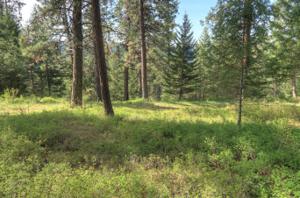 Lot 13 S Cordillera St