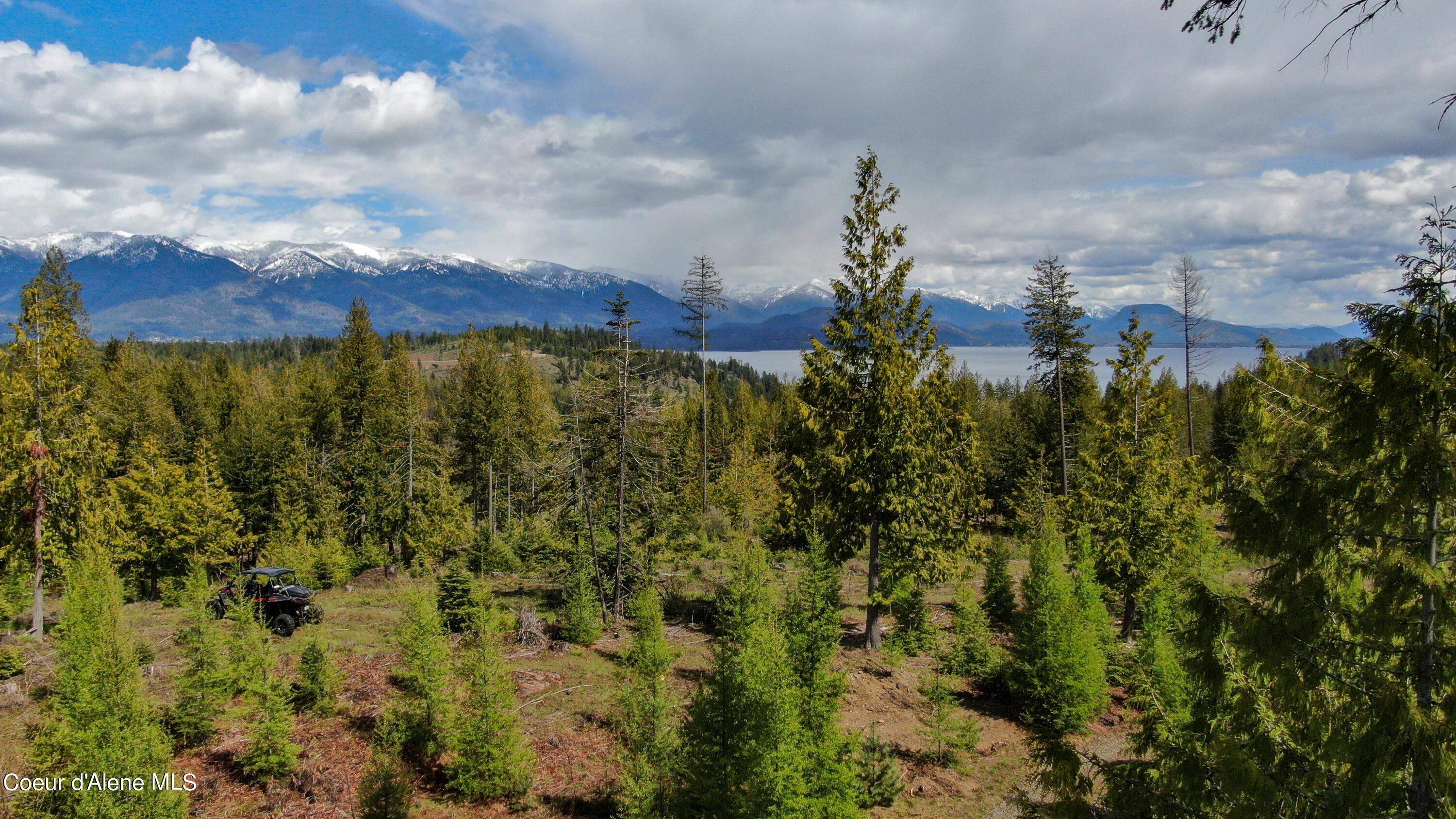 Image 4: DJI_0455