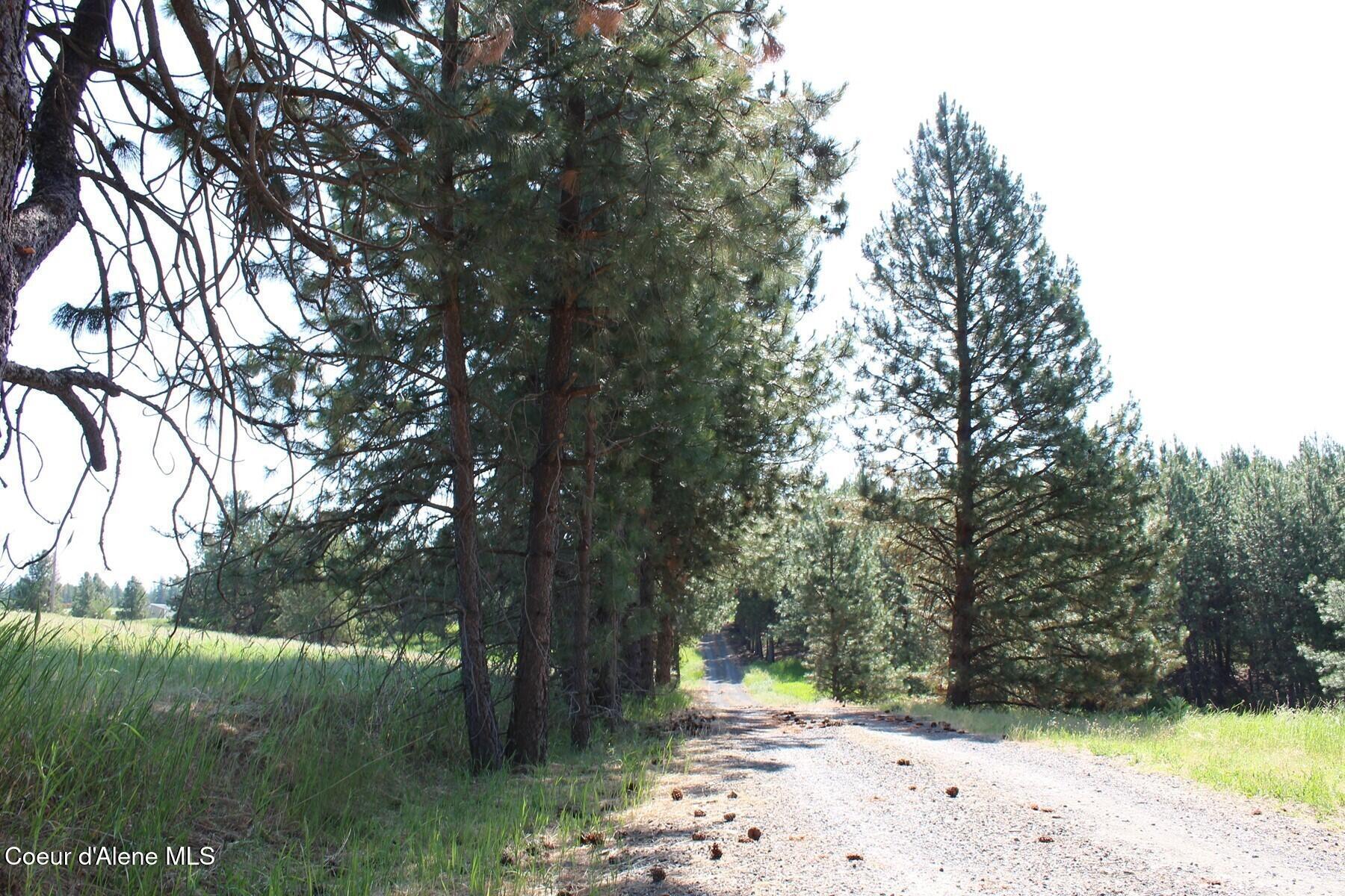 Image 2: Northwest Corner and Honor Road