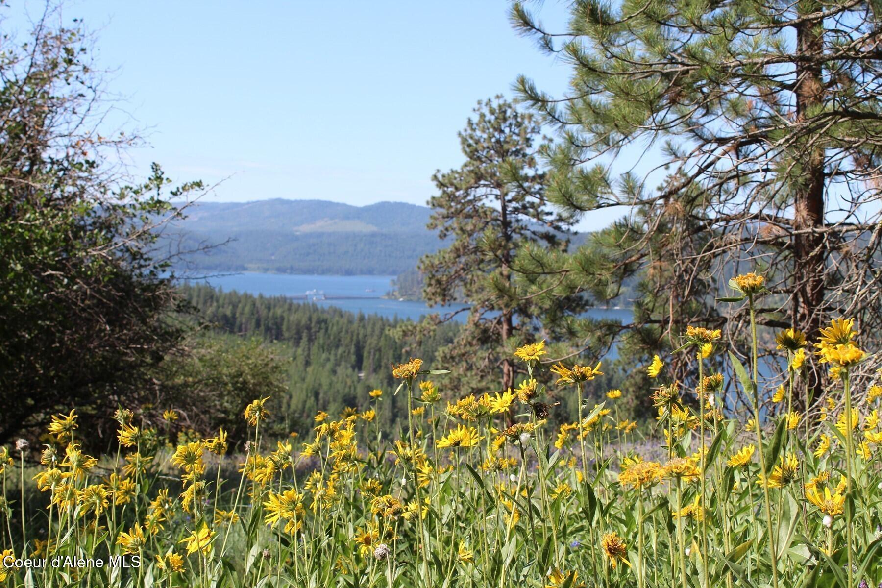 Image 4: Interior Southern View