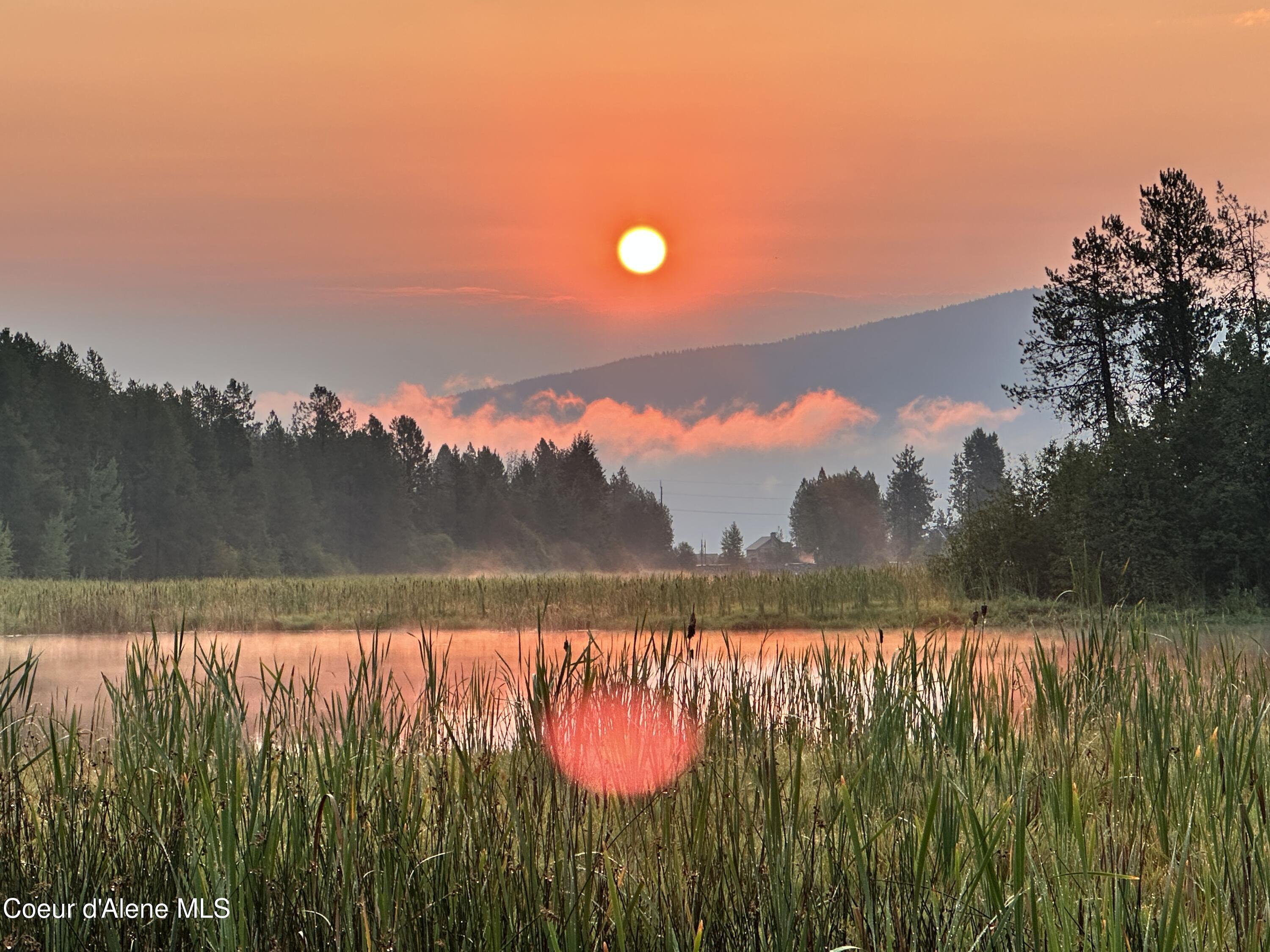 Image 3: OrangeSunrise
