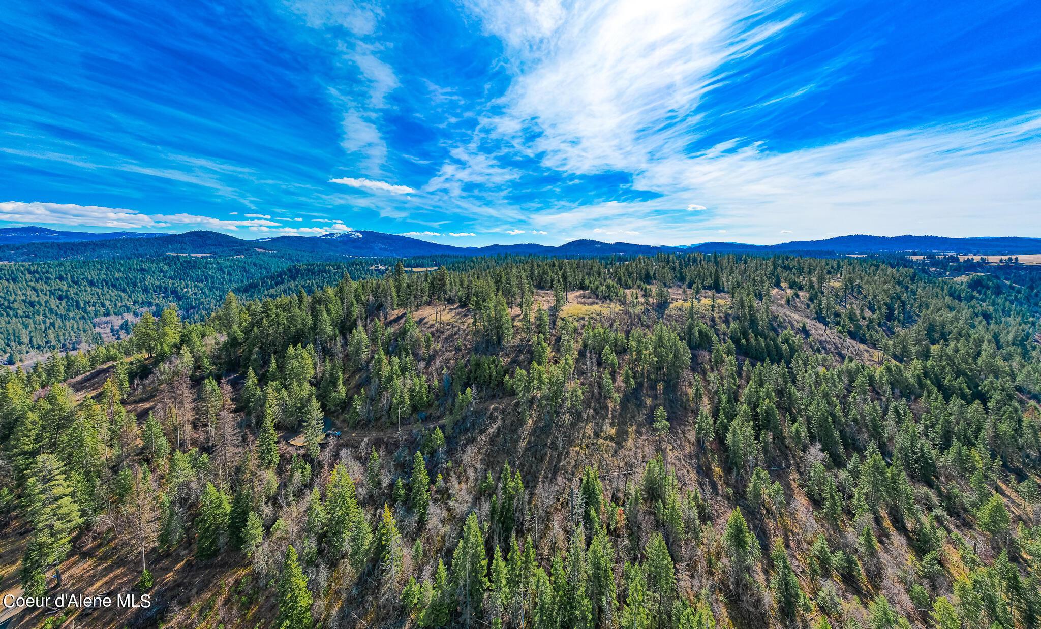 Image 4: DJI_0007