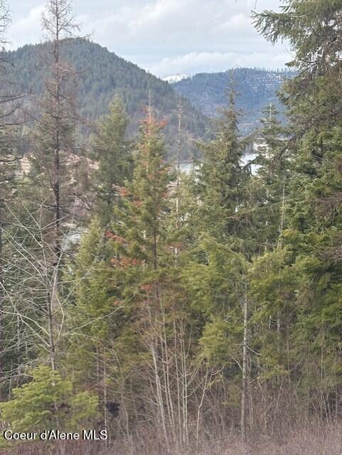 Image 4: Filtered Views