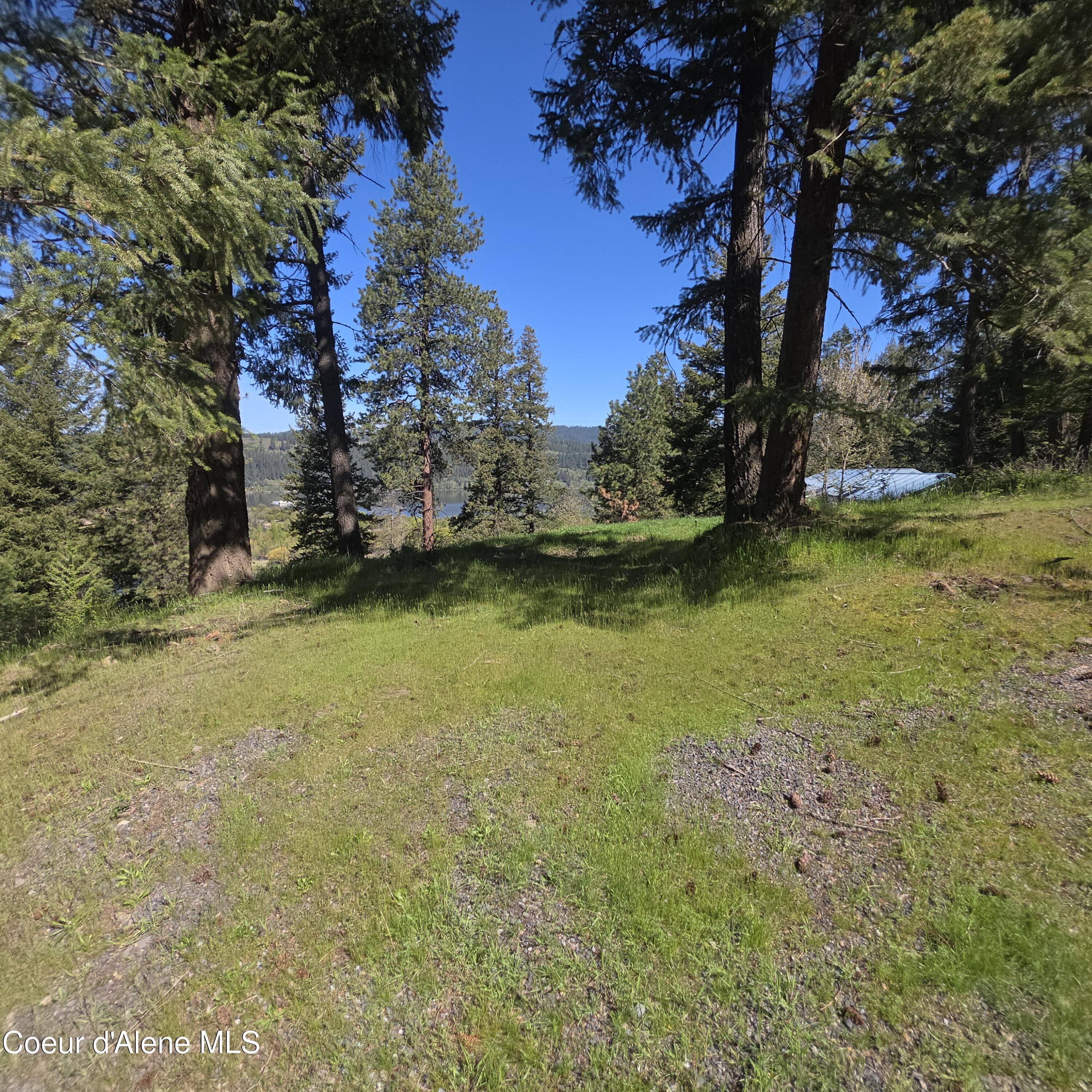 Image 3: 20260501_104040