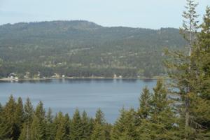4 Overlake View Rd