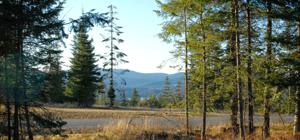 L1B10 Kapalua Rd