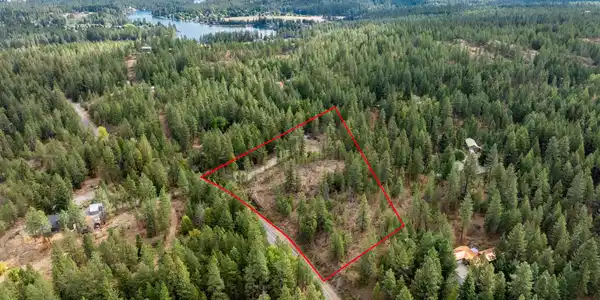 Image 4: 4_SelkirkMedia