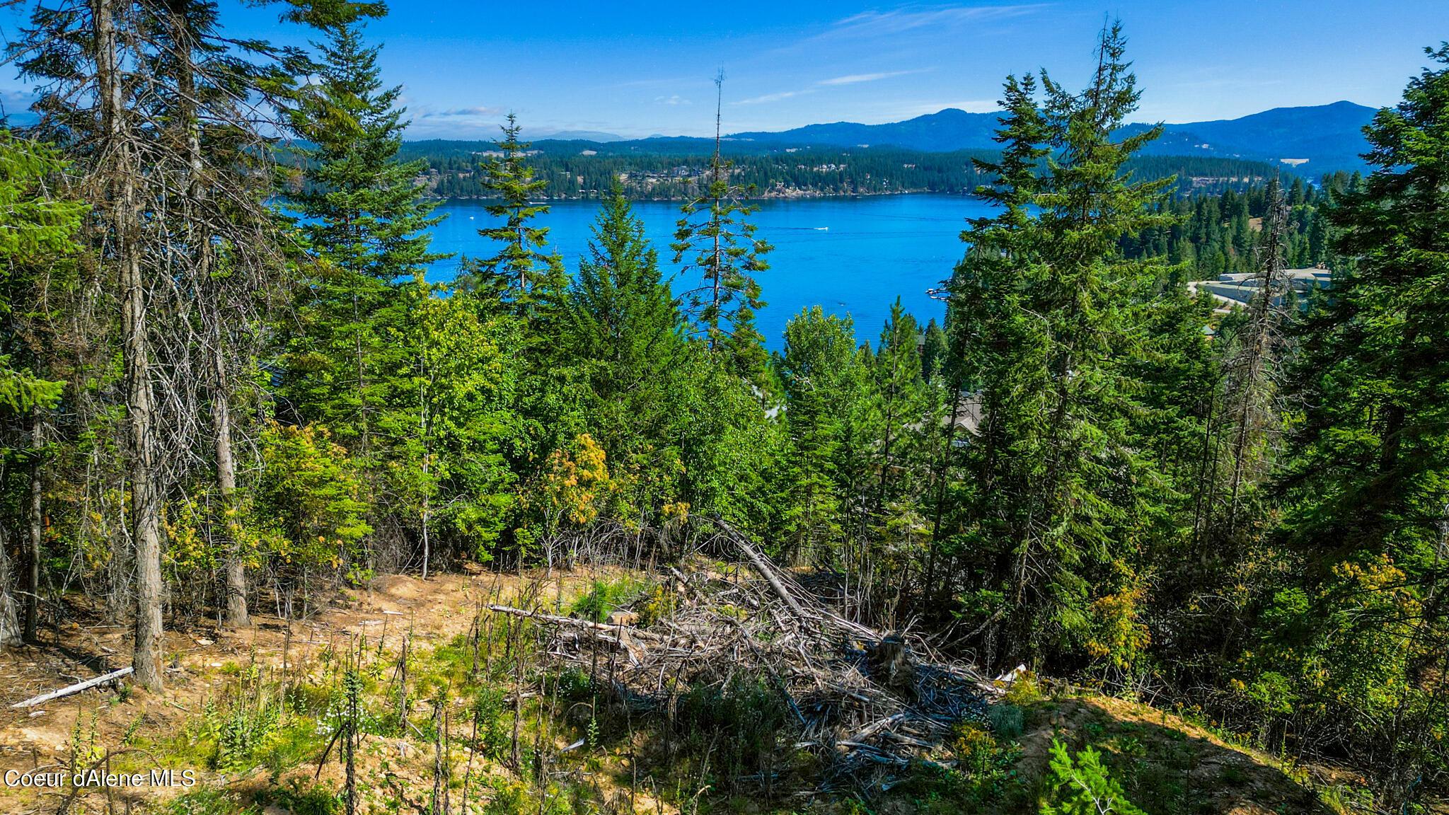 Image 2: DJI_0013 copy