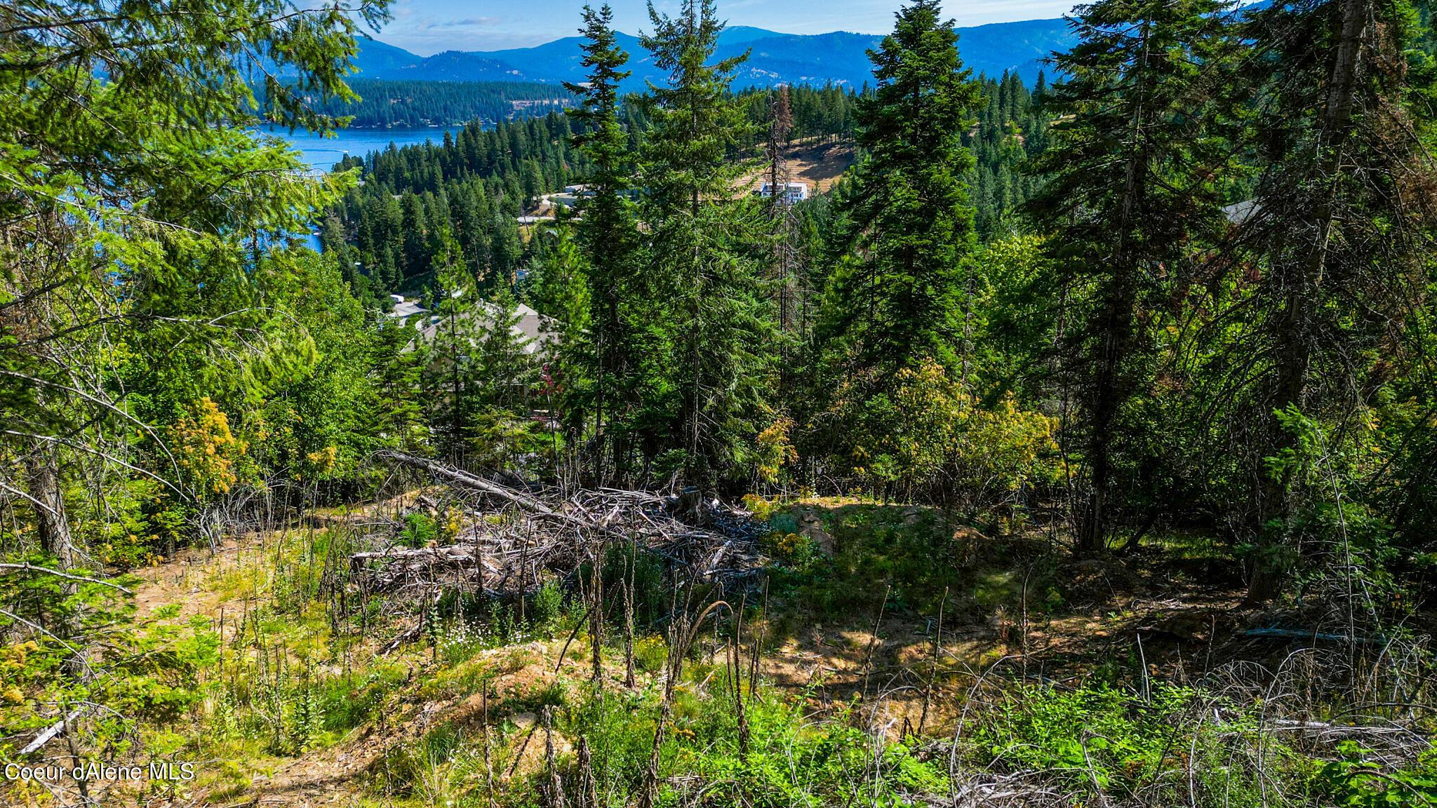 Image 3: DJI_0010 copy