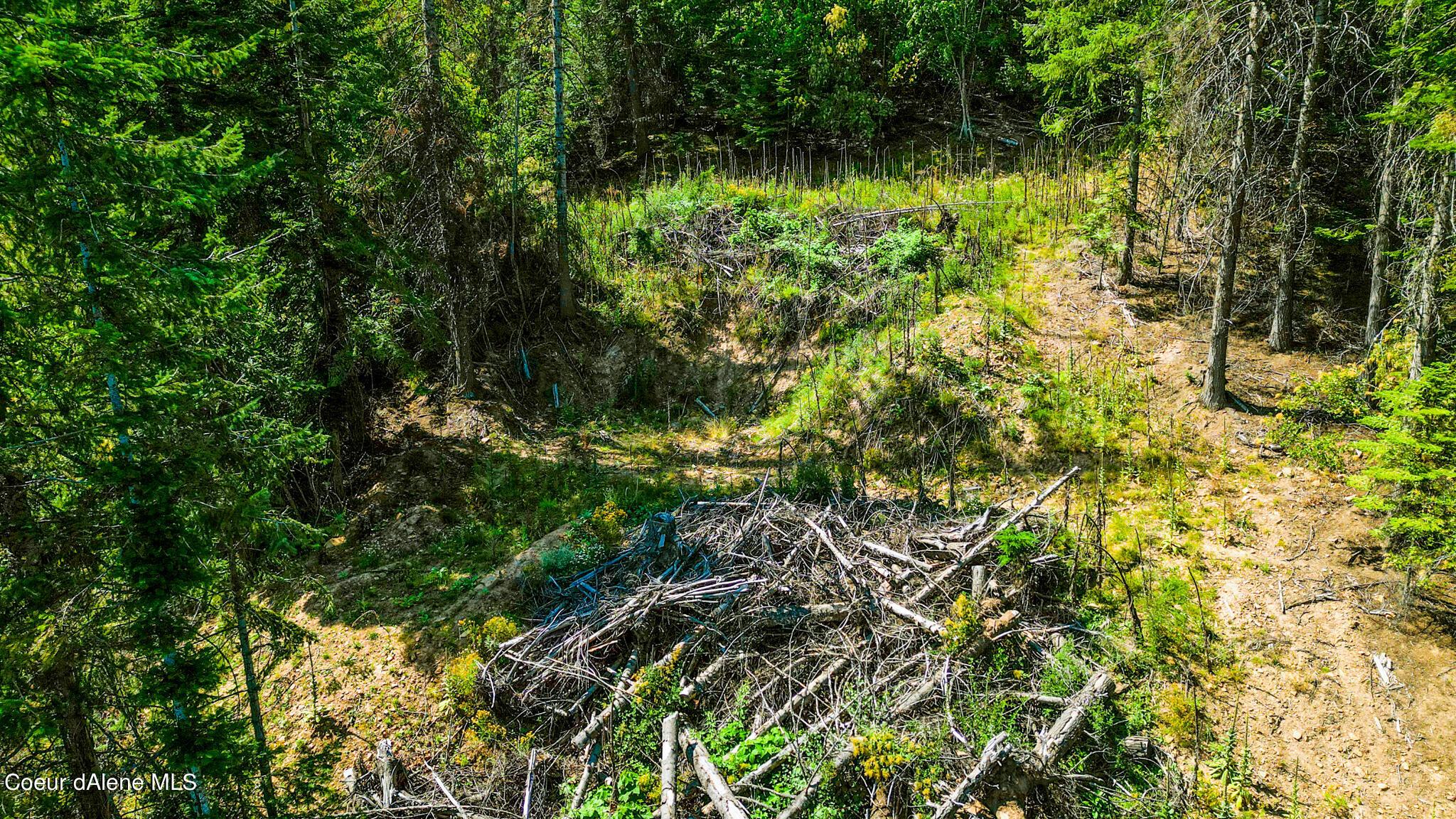 Image 4: DJI_0017 copy