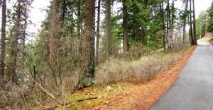 Lot 3 Winter Ridge Rd