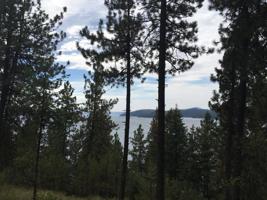 000 E Driftwood Heights Dr