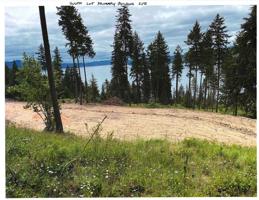 TBD South Lot Driftwood Heights Dr