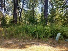 503 Hornby Pl (Lot 18)