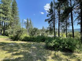 507 Hornby (Lot 16) Pl
