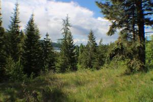 L15B1 Johnson Meadows Estates