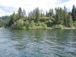Driftwood Point, Lot 16