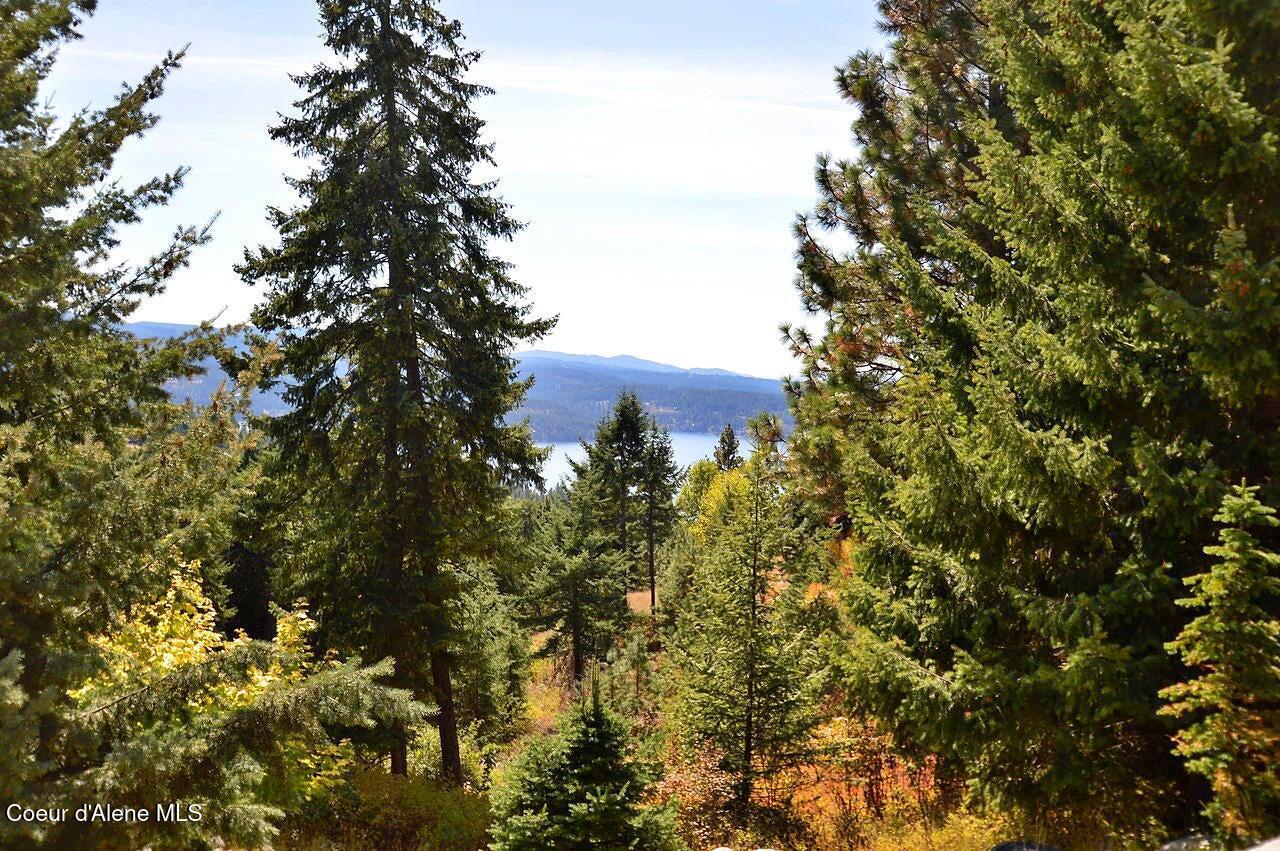 Image 2: Lake views