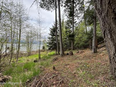 941 W Oden Bay Rd