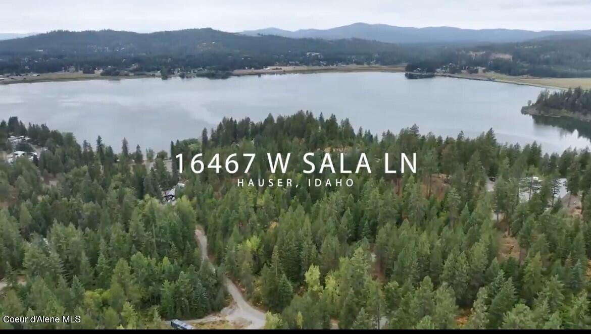 Image 1: thumbnail_IMG_7775