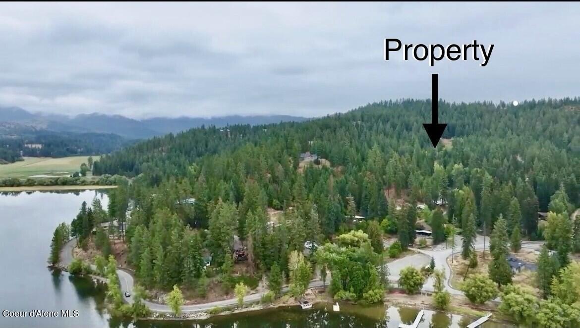 Image 2: thumbnail_IMG_7771