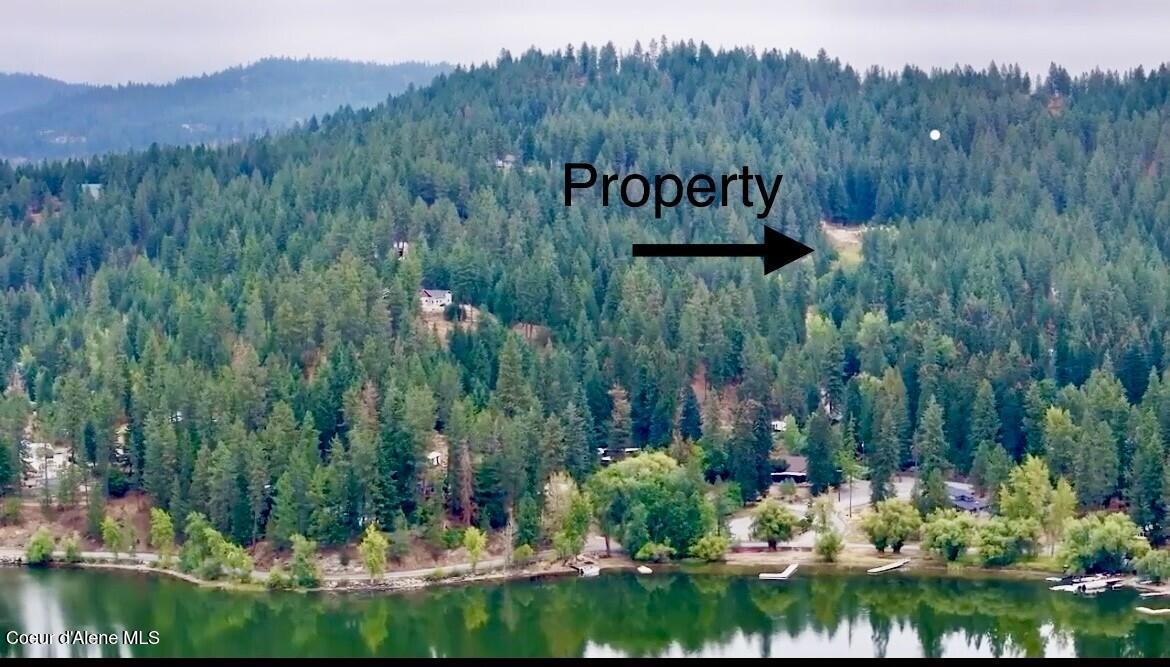 Image 3: thumbnail_IMG_7772