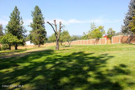 Image 4: IMG_2722