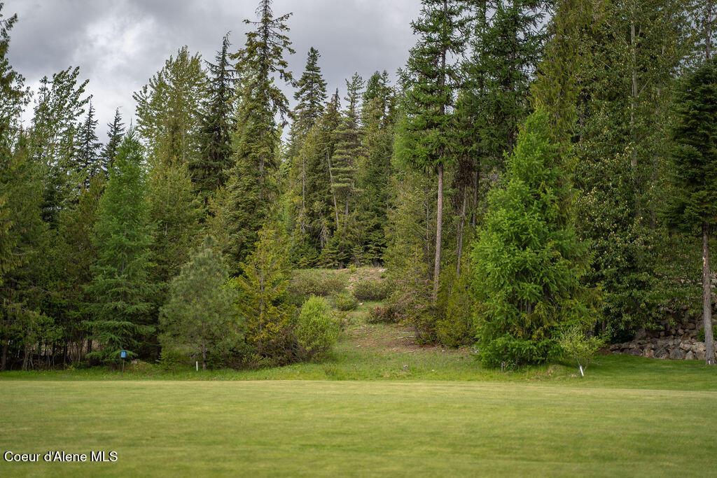 Image 1: Brad'sLot-2