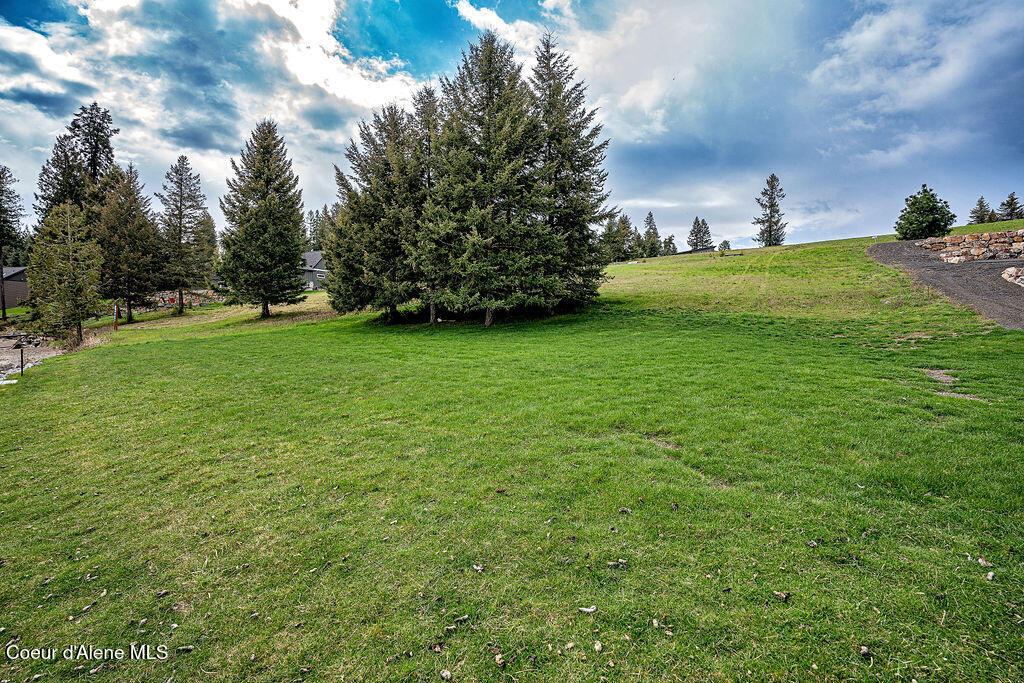 Image 2: Grassy lot