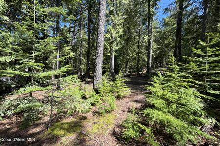 171 Whispering Pines Rd