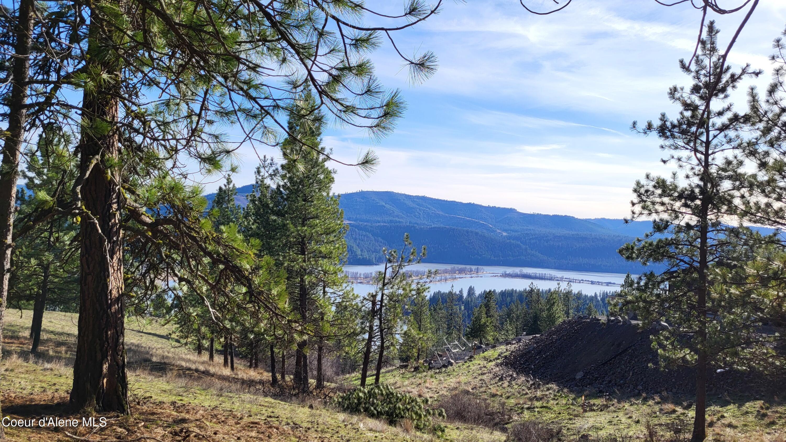 Image 4: 20260322_163345