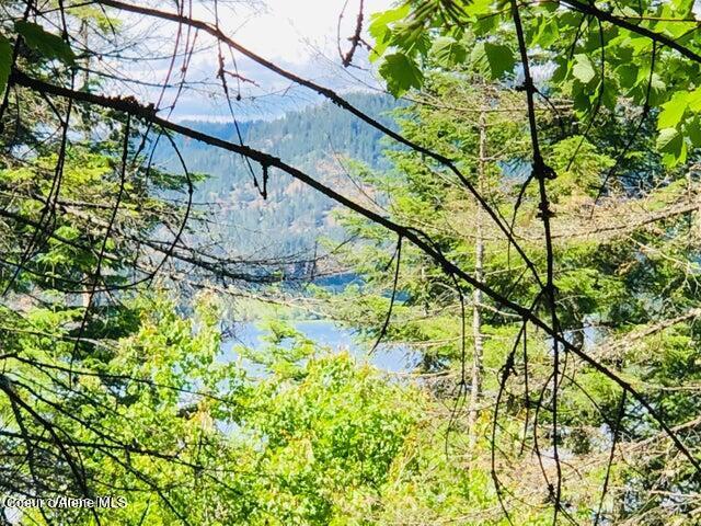 Image 3: Filtering Lake views